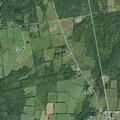Car hits deer on County Route 351 roadside