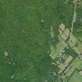 30-year-old woman faints near Webb Hill Road