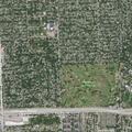 Teenager injured after falling from tree in Oak Park