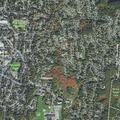 75-year-old woman collapses after diarrhea at home
