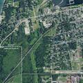 81-year-old female falls at home, no injury reported