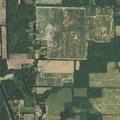 Elderly woman with breathing difficulty in Eaton Rapids