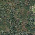 Teen male with head injury and dizziness in Boxborough