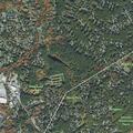 81-year-old male fallen near Pine Knoll Road