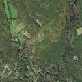 Person suffers a fall near Pine Tree Lane