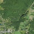 Man falls on State Route 10 in Jefferson
