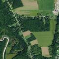 Woman reported dizzy at Route 438 in Gowanda