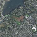 Elderly woman found after fall near Maple Street