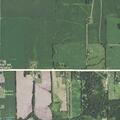 Person reported sick near State Line Road in Harvard