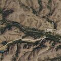 Cows damaging fences on property and roadway