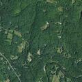 78-year-old woman lightheaded at Barnes Mill Road