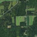 Car and deer collision on Andrews Hill Road