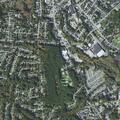 Female fell and complains of head pain near Chapman Place