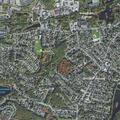 Loose dog attacks another dog on Linden Road