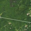 Trespass complaint over logging on private land