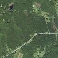 Bear struck on Route 9 in Windsor roadway