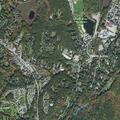 Minor with stomach pain near Sullivan Lane in Acton