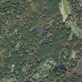95-year-old female injured near Concord Street, Carlisle