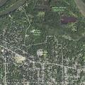 Male with diabetes falls on street in Cedar Falls