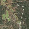 Suicidal male reported at Peppermint Park Camp Resort