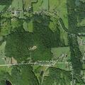 Gunshot heard after dogs found on property