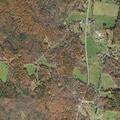 91-year-old woman falls and scrapes left arm in Ashfield