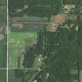 Woman faints and clutches chest at 7 Mile Road