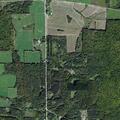 Tree contacting power lines near Town Line Road