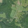 80-year-old man falls but denies injury in Middleburgh