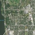 Possible rabid raccoon in backyard