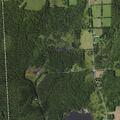 Police requested to evaluate female near Lake Road in McDonough