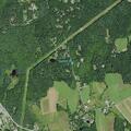 Car hits deer near Nassau vet clinic