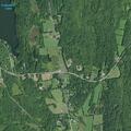 Vehicle hits deer on County Road 1 in Westerlo