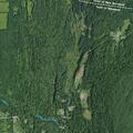 Tree blocking entire road at County Route 312