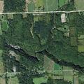 84-year-old male falls near Lake Street in Hector