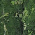 66-year-old woman sick at South America Road Worcester