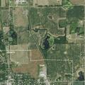 79-year-old man with back pain near East Allegan