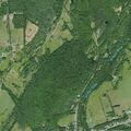66-year-old woman injured in fall near Dog Hill Rd