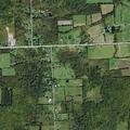 77-year-old female falls near roadway in Freeville