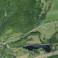 44-year-old female injured by tree limb at lake access