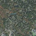 Patient losing control at rehab facility in Lynnfield