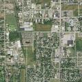 Loose dogs reported near East Briar Lane homes
