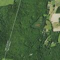 24-year-old woman having convulsions in Milford