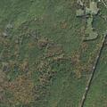 Reference to earlier car fire near state forest