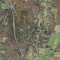 Bear reported at Mount Greylock campsite