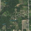 Court-ordered resident missing near Arch Road in Eaton Rapids