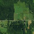 Elderly woman with altered mental status near Genesee Road
