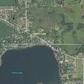 Loose dogs reported in backyard on 399th Avenue