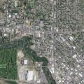 Accidental 911 call near Rose Street