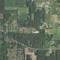 Tree limb on low utility line in Vevay Township